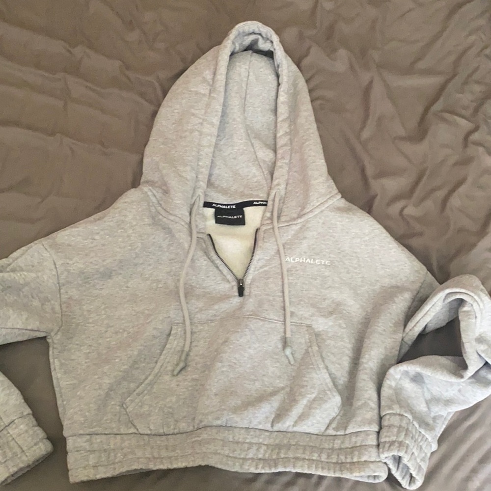 Alphalete Crop Hoodie